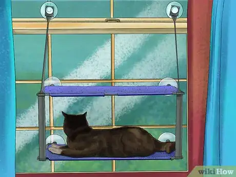 Image titled Give Your Cat Space to Sunbathe Step 2