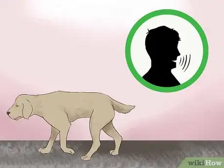 Image titled Watch for Signs of Illness in Senior Dogs Step 8