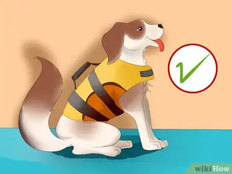 Image titled Protect Your Dog Around Backyard Pools Step 6