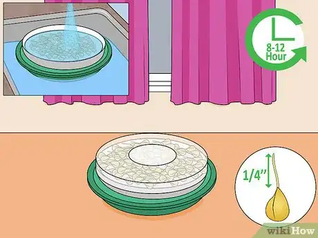 Image titled Grow Popcorn Shoots Step 6