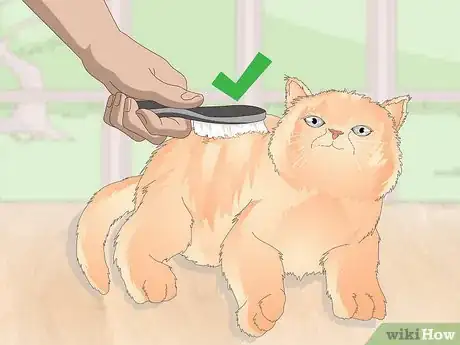 Image titled Keep Your Cat Clean Step 3