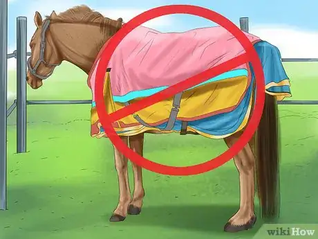 Image titled Care for Your Horse In the Winter Step 6
