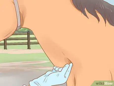 Image titled Draw a Horse's Blood Step 4