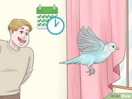 Image titled Keep a Parakeet Safe Out of Its Cage Step 9