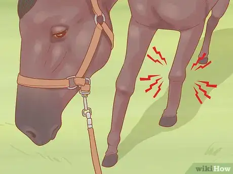 Image titled Get a Horse Under Control Step 14