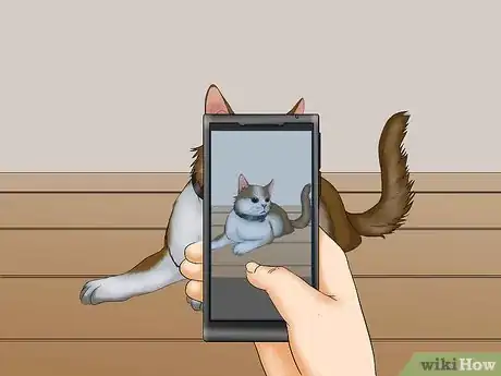 Image titled Avoid Losing Your Cat Step 5