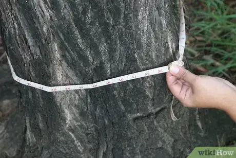 Image titled Use Aluminum Foil for Gardening Step 5