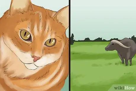 Image titled Photograph Animals Step 10