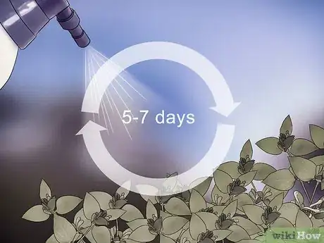 Image titled Buy Organic Insecticides Step 12