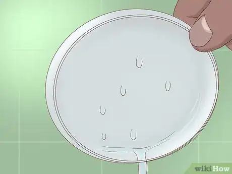 Image titled Grow a Chia Pet Step 10