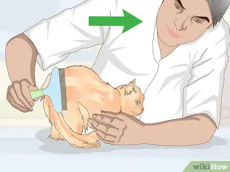 Image titled Keep Your Cat Clean Step 6