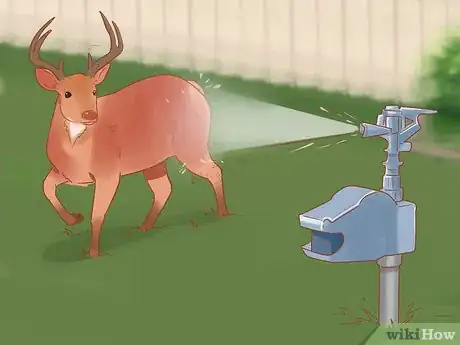 Image titled Break Up a Deer Fight Step 12