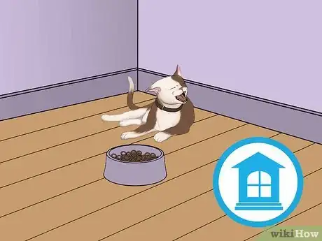 Image titled Avoid Losing Your Cat Step 9