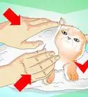 Give a Kitten a Bath
