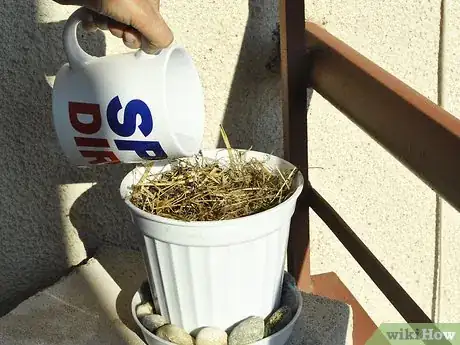 Image titled Grow Moon Flower Step 6