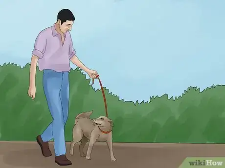 Image titled Avoid Losing Your Dog Step 8