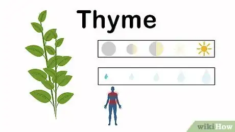 Image titled Grow an Herbal Tea Garden Step 12