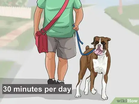 Image titled Adopt a Working Dog Step 18