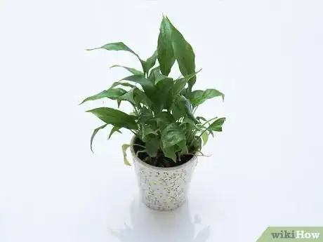 Image titled Infuse Herbs Step 19