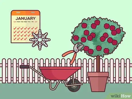 Image titled Prune Tree Roses Step 4