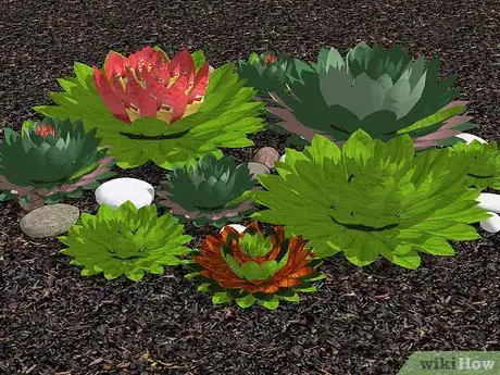 Image titled Create a Dish Garden Step 4