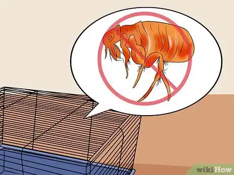 Image titled Clean a Gerbil Cage Step 9