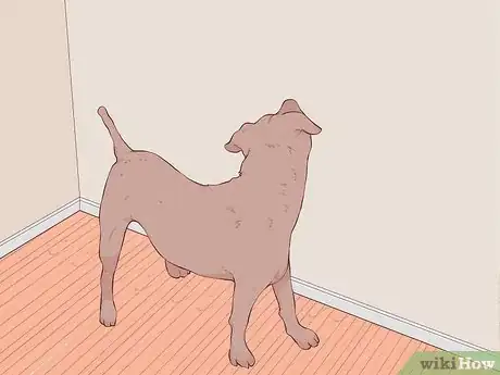 Image titled Know if Your Old Dog Stops Recognizing People Step 7