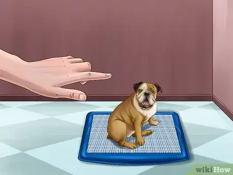 Image titled Rehome a Rescue Dog Step 19