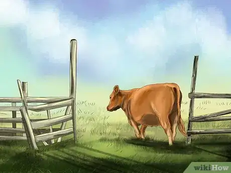 Image titled Sort Cows Step 3