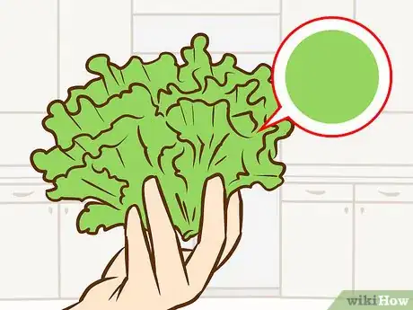 Image titled Buy Salad Greens Step 5