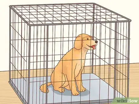 Image titled Keep a Parakeet Safe Out of Its Cage Step 6