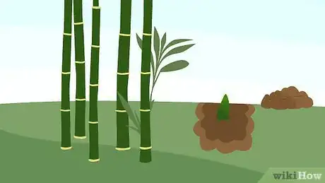 Image titled Prune Bamboo Step 15