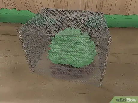 Image titled Protect Garden Berries Step 3