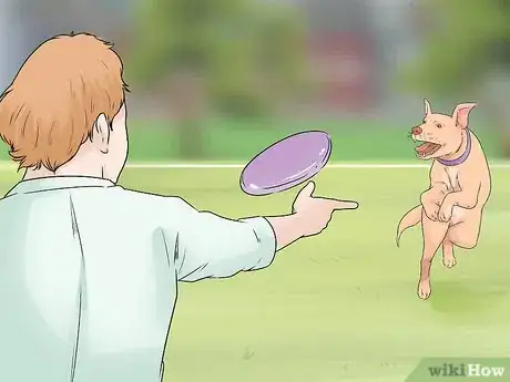 Image titled Help Your Older Dog Navigate Slippery Floors Step 10