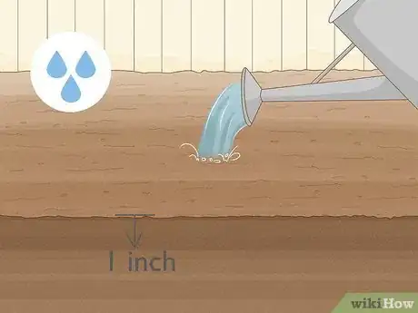 Image titled Grow Sweetgrass Step 13