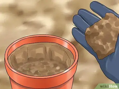 Image titled Grow Great Herbs Step 5