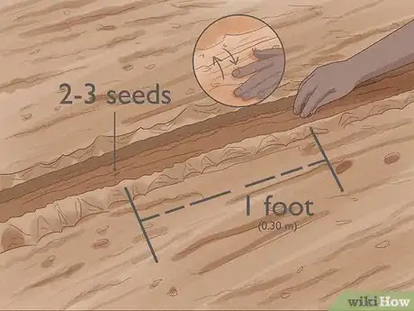 Image titled Grow Vegetables in New England Step 15