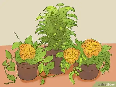 Image titled Take Good Care of Your Lungs Step 16