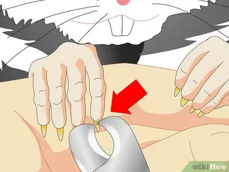 Image titled Keep a Hamster Healthy Step 15