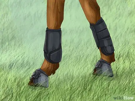 Image titled Know if Your Horse Needs Shoes Step 15