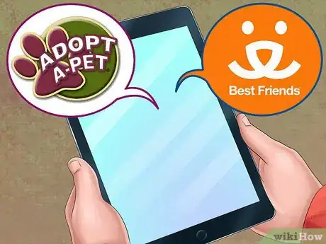 Image titled Adopt a Sporting Dog Step 4