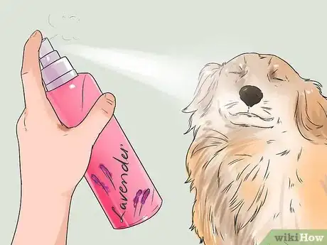 Image titled Give Your Dog a Make Over Step 12