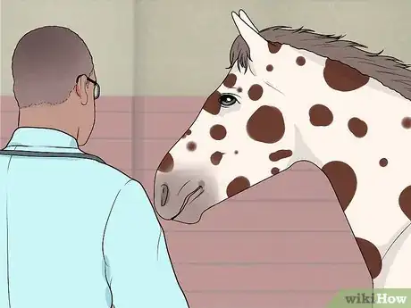 Image titled Find and Train a Barrel Horse Step 1