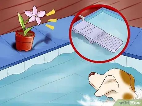 Image titled Protect Your Dog Around Backyard Pools Step 2