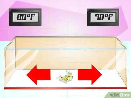 Image titled Create a Habitat for a Leopard Gecko Step 4
