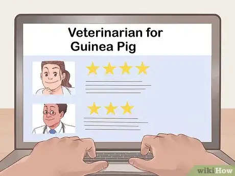 Image titled Care for a Coronet Guinea Pig Step 6