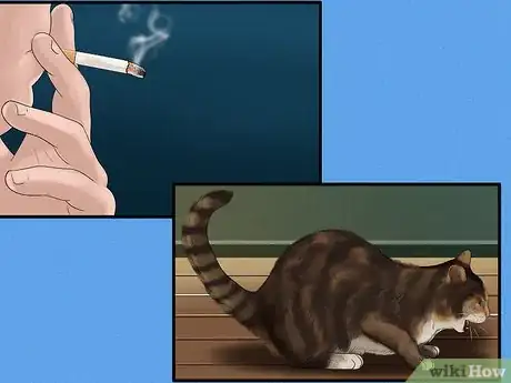 Image titled Diagnose and Treat Feline Bronchitis Step 1