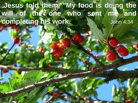 Image titled John 4v34