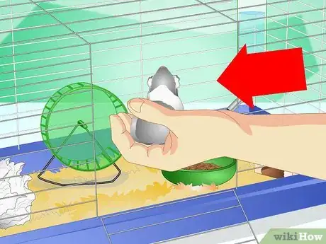 Image titled Create a Habitat for a Hamster Step 13