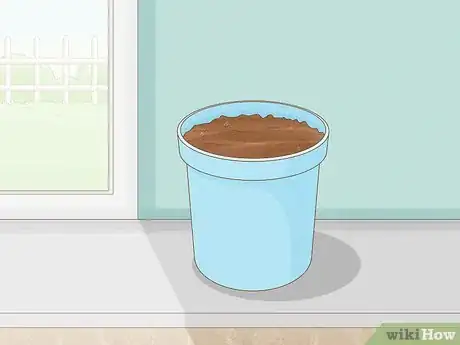 Image titled Grow Eryngium Foetidum Step 4